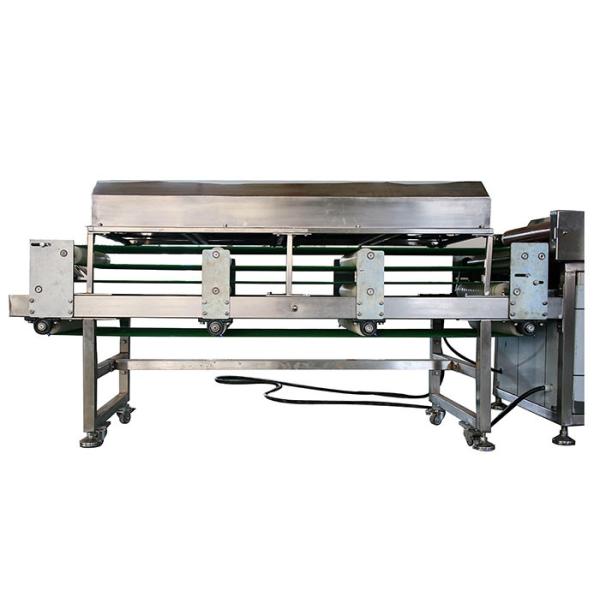 производственная линия Tortilla муки 1400pcs/h, оборудование Tortilla муки 100g