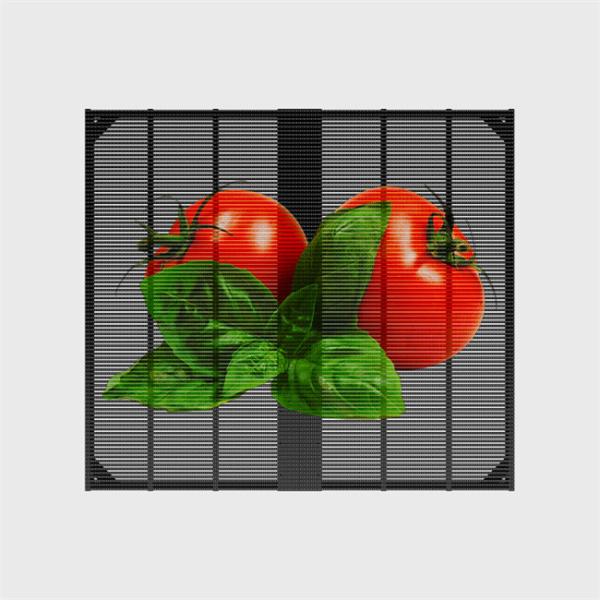 IP65 Indoor Outdoor Transparent LED Grille Screen Retail Store Exhibition Hall Welcome Graphics Digital Signage Displays