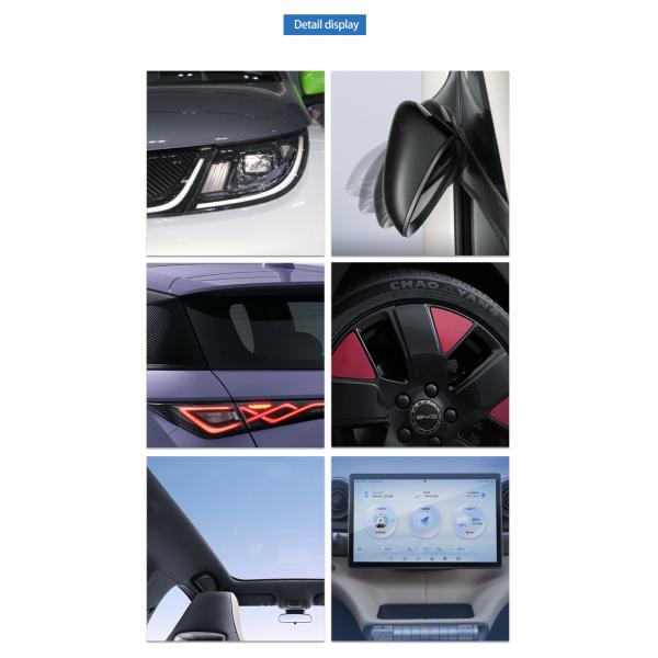 5seat  Byd Dolphin Free Version EV 2023 with Middle Position Keywords