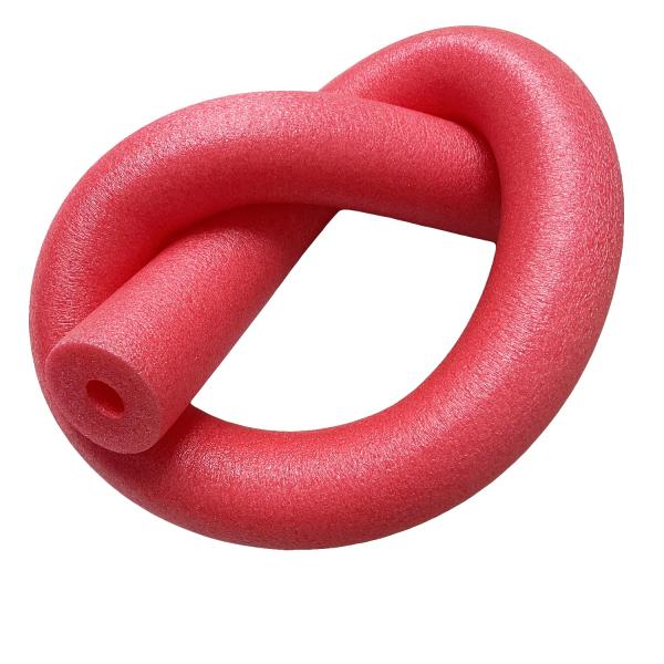Пена бассейна EPE вставляет помощь поплавка лапши реабилитации Woggle вносит в журнал