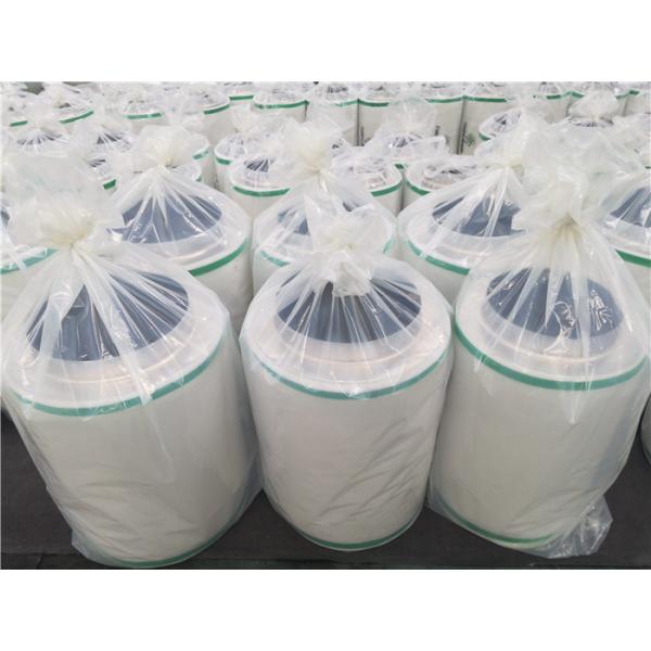 100mm 200mm Hydroponic Air Filter Bright Chromed flange High IAV Grow Odor Scrubber