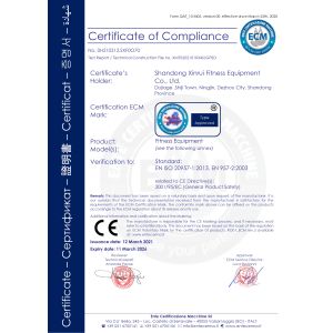 Shandong Freeman Fitness Equipment Co., Ltd. Certifications