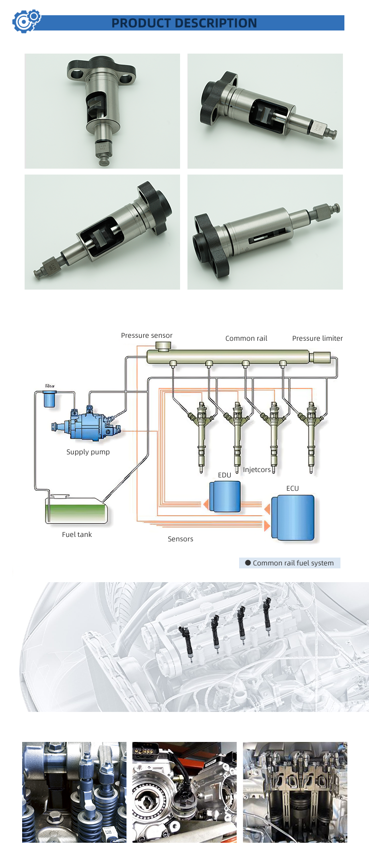High Speed Steel Diesel Element Pump Plunger 2418425988 Common Rail Fuel Injection Pressure Customized Services Supported New