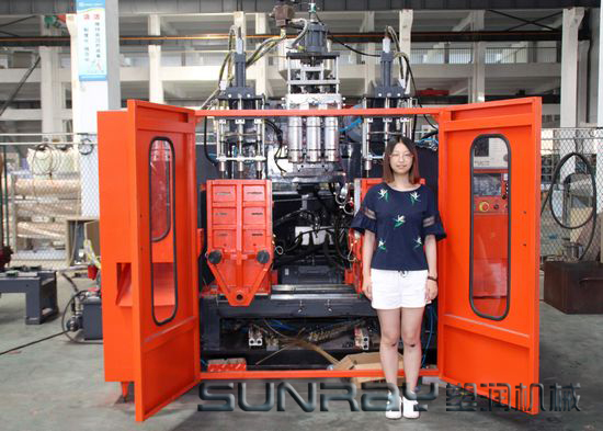 Hdpe 1 Liter Bottle Double Station Blow Moulding Machine / Blow Molding Equipment