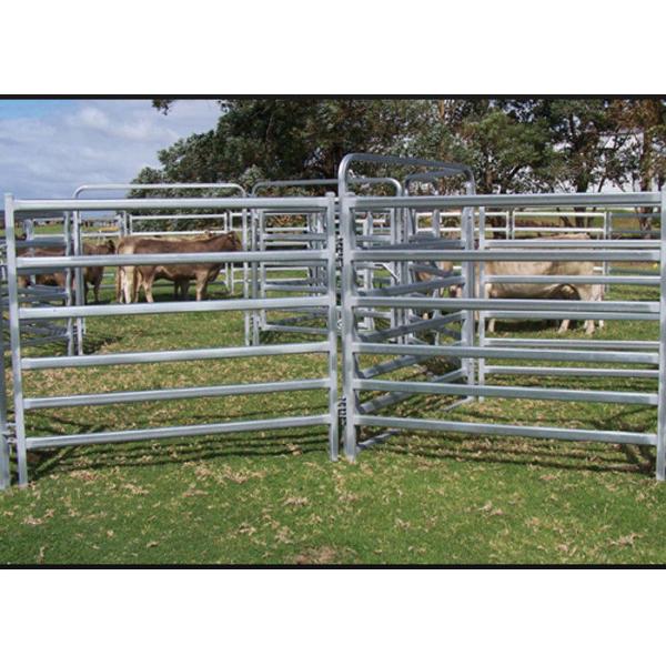 Low Carbon Steel Metal 1.8*2.1m Cattle Yard Panels