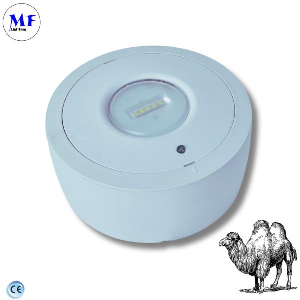 Emergency Downlight Emergency LED Down Light  8W 50000-Hour LED2835 Array Recessed Surface Mount Options For Versatile Installation