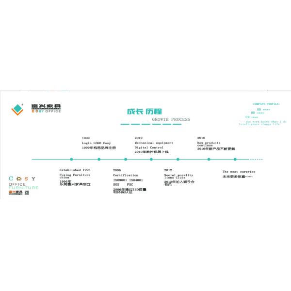 Dongguan Fuxing Furniture Co., Ltd.