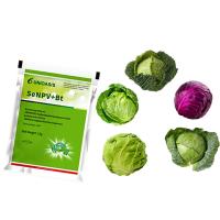Pesticide viral pour insectes organiques naturels SeNPV & Bt WP pour les légumes brassicaces Spodoptera exigua NPV Biopesticide