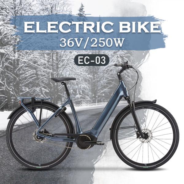 Two Wheel Electric Road Bike Warehouse High Speed 25km/H 750w High Power