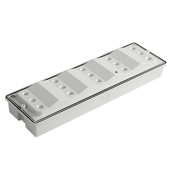Surface Mounted Waterproof Emergency Bulkhead Light IP65 Ni-Cd Battery 3.6V 0.6Ah EL015AMN