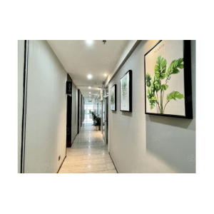 U-Safe Technology Co., Limited