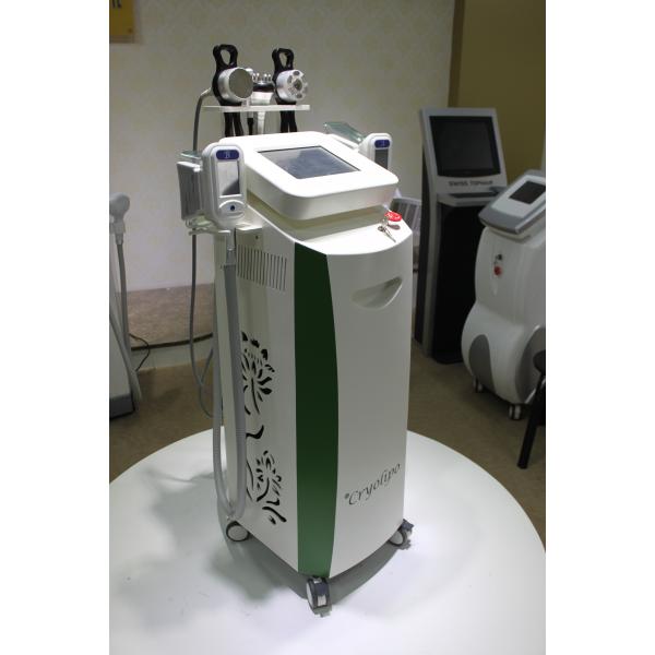Best effect!!! fat freeze,skin rejuvenation,wrinkle removal cryolipolysis slimming machine