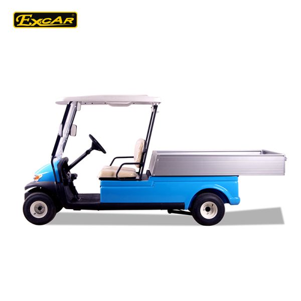 2 Seater Hotel Buggy Car , Electric Utility Golf Carts 100% Waterproof Accelerator