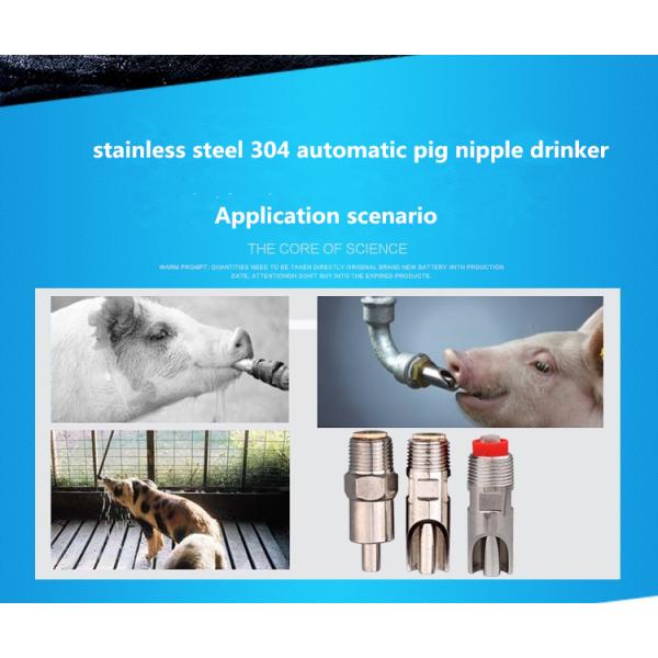 Automatic Stainless Steel Ss201 Ss304 Pig Nipple Drinker