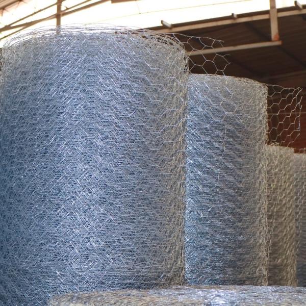Galvanized Chicken Hexagonal Wire Mesh Fencing Poultry Netting