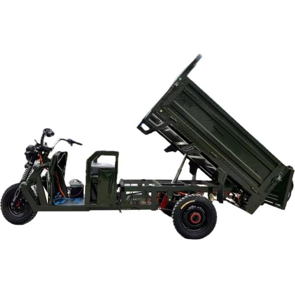 1000 Вт Электрические трехколесные велосипеды Грузовой грузовик Саморазрядный трехколесный мотоцикл для взрослых