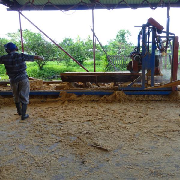 DS2000 Circular Blade Saw Mill Swing Blade Timber Cutting Machine