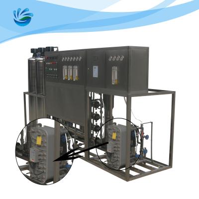 Sistema do RO EDI Water Treatment Water Treatment de EDI Reverse Osmosis