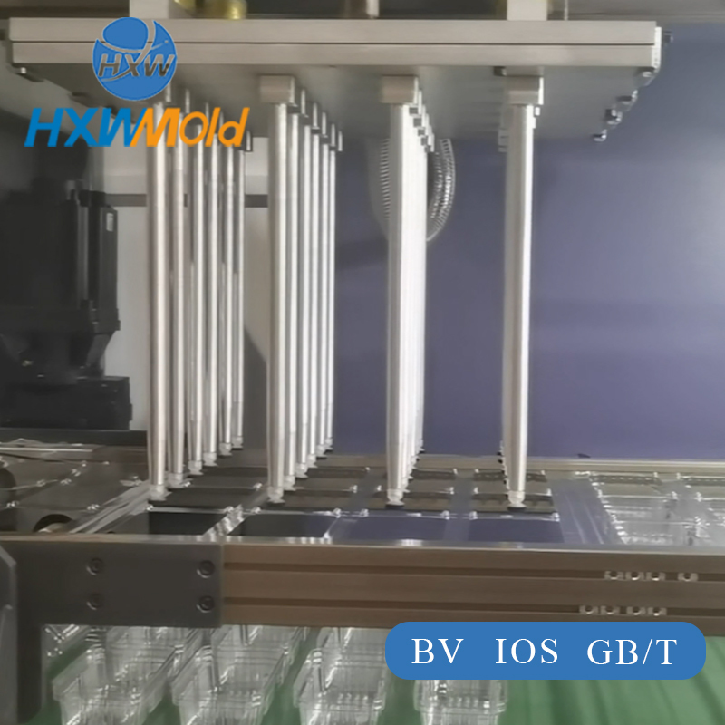 Vacuum Thermoforming Fruit Box Mold PS PP PVC EPS 3 Station Disposable Food Tray Mold