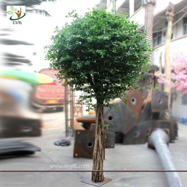 UVG GRE024 Wholesale green artificial money tree plant for restaurant decoration 6ft high