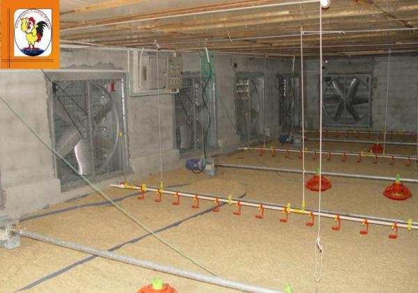  Poultry Equipment Ventilation System  & Feeding System