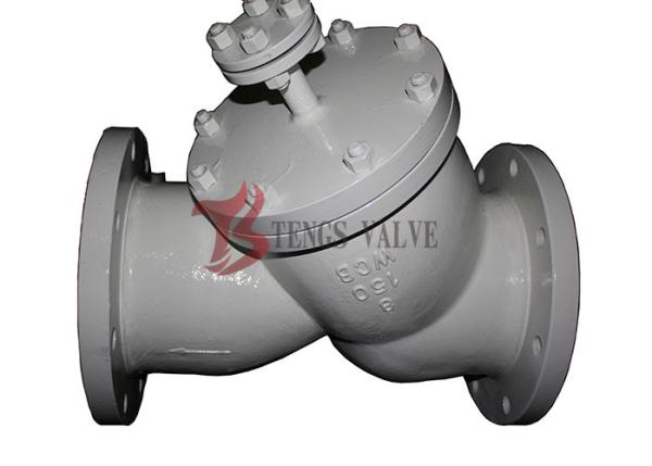 WCB Carbon Steel Y Strainer 150LB With Flanged Drain Plug Special Design