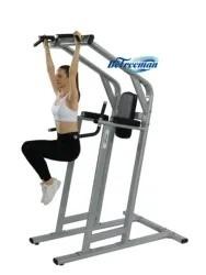 Pull Up Bar Leg Raise Chest Shoulder Workout Power Tower Dip Station Gym Equipment
