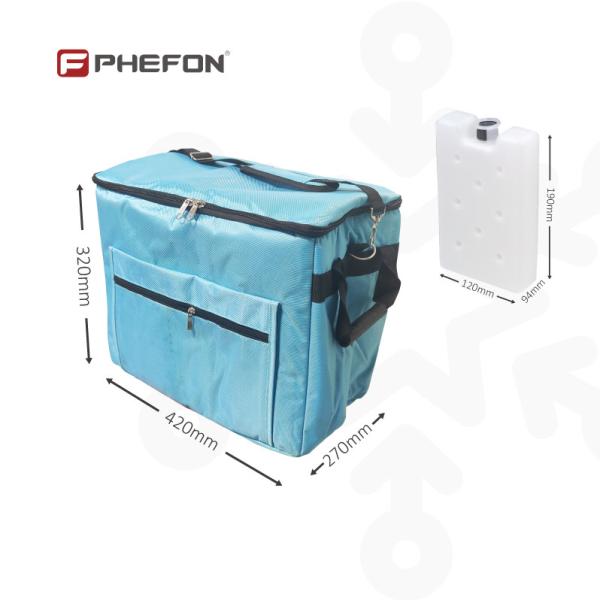 Soft Cooler Cooler Bag Include One Set Ice Packs With Shoulder Strap And Handles Convenient Portable Cooling Solution OEM ODM Support