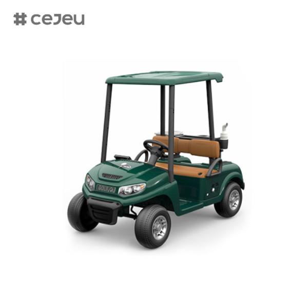 CJ-390(enough space for two seats), 12V10AH*1, #550*2, 2.4G, music, usb, mp3, golf cart with multiple color options