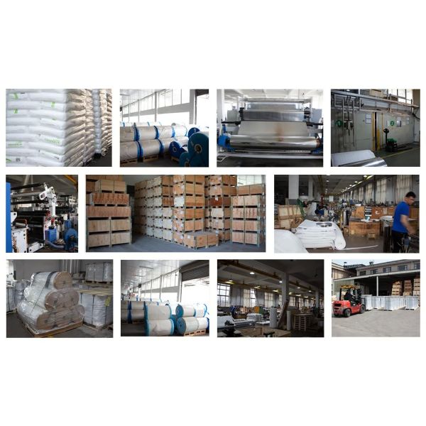 Laminated Aluminum Foil, Temper O, with EMMA-Coated Surface, Thickness 0.0017–0.025 mm, Apparent Density 10–40 kg/m³, Suitable for Packaging