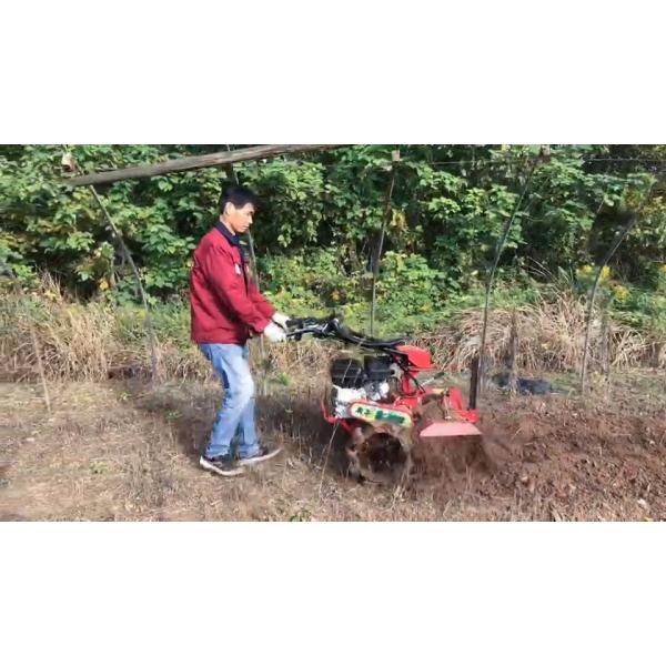 70cm Working Width Four-Wheel Drive Ditching Machine for Orchard Featuring Gasoline Engine