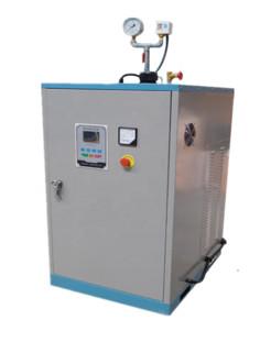 65kg  /  H 48KW Vertical Portable Electric Steam Generator Boiler Small Size