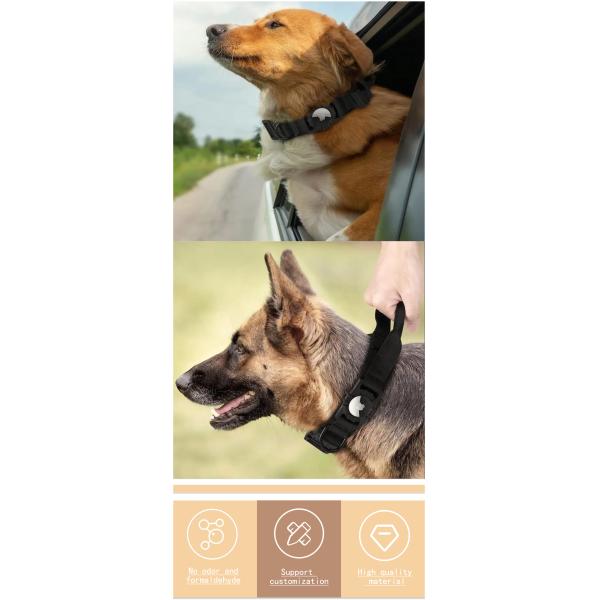 Dog Collar Eco Friendly Nylon Adjustable Pet Collars with Air Tag GPS Tracker Dog Leads