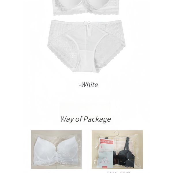 Women Sweet Sexy  Lingerie Set White Color Lace Sexy Lingerie Beautiful Underwear Matching Set Embroidered Lingerie for Women