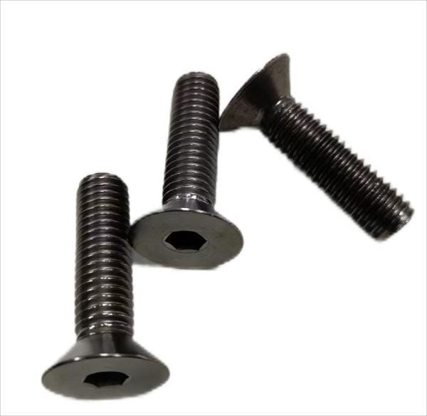Titanium Hexagon Socket Countersunk Head Screw Gr1 Gr3 Gr5