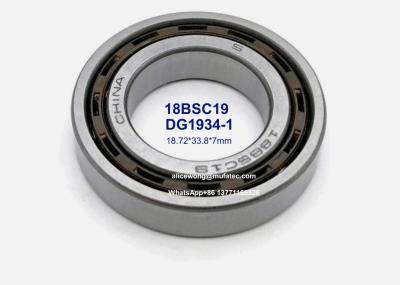 DG1934-1 DG1934 18BSC19 auto steering bearings nylon cage deep groove ball bearings 18.72*33.8*7mm