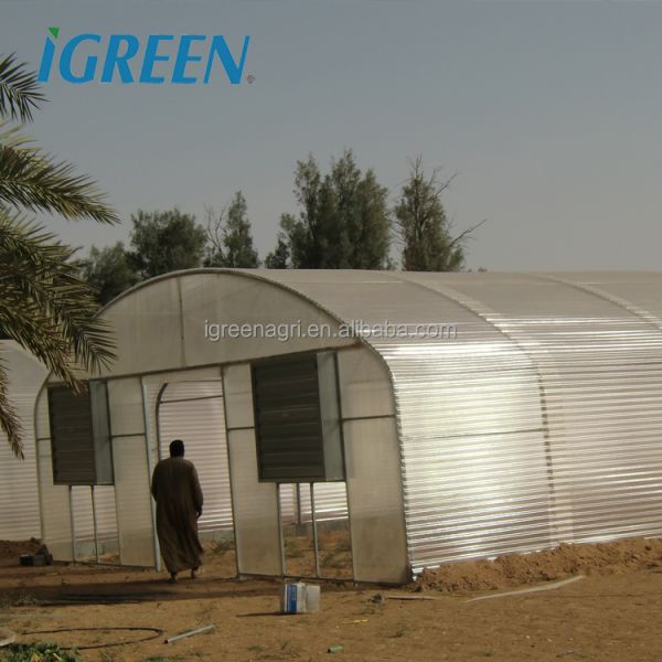 Single-Span PE PC Sheet Greenhouse for Hot & Arid Regions-Heat-Resistant Agricultural Greenhouse