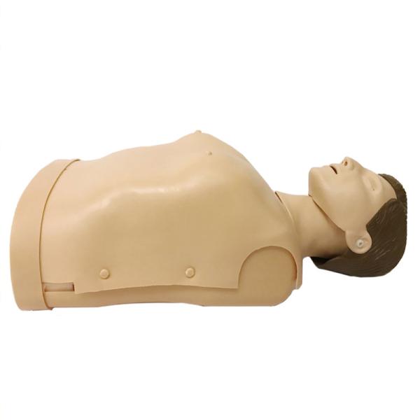 Emergency Half Body Cpr Training Manikins 185
