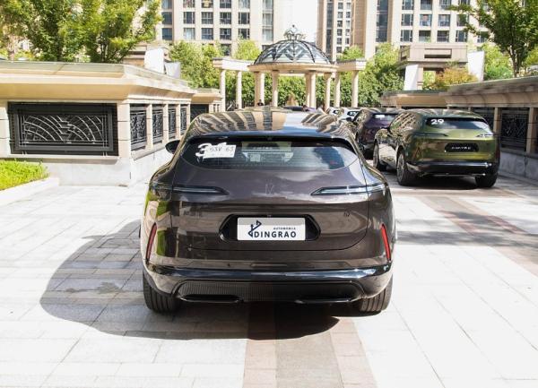Automobile compétitive 2 roues motrices 5 portes 5 sièges SUV Véhicule électrique Pure New Energy Car