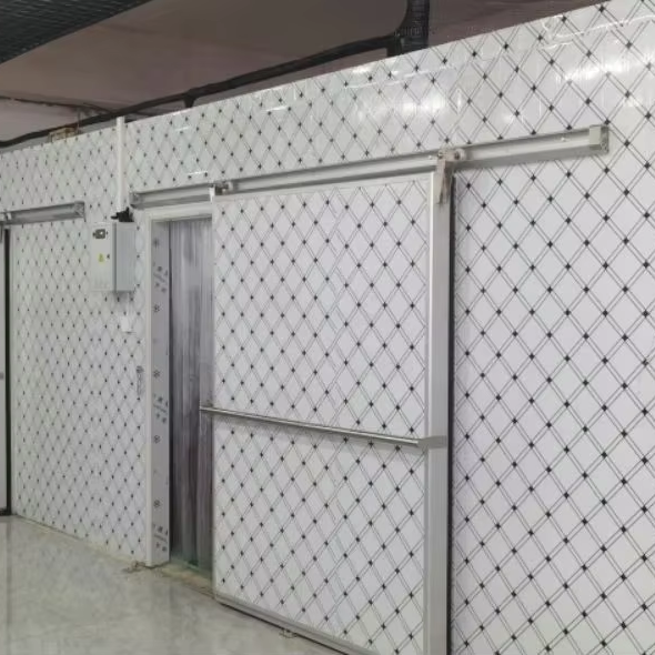 Semi Recessed Cold Room Door 75mm 100mm 120mm 150mm For Food Cold Chain Storage