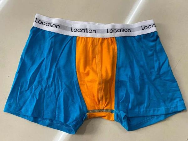 100% Polyester Mens Underwear Boxer Shorts Color Block Panties