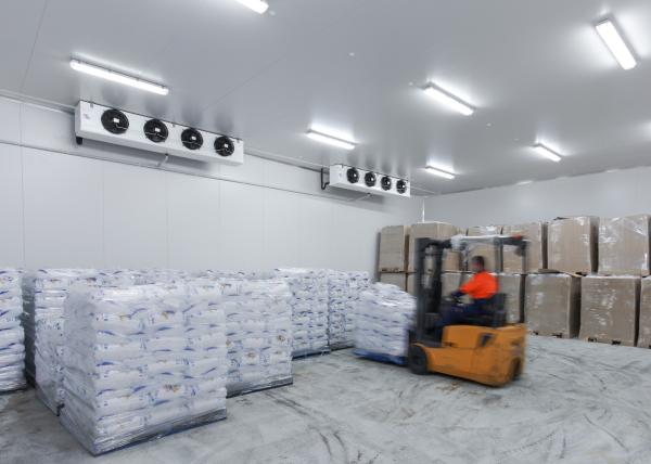caminhada do painel da isolação do fechamento da came de 100mm na sala de armazenamento frio do marisco