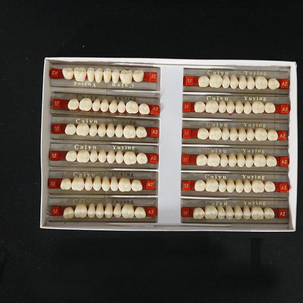 VITA System False Dental Teeth with Heraeus Teeth Form 1 Easy to Use