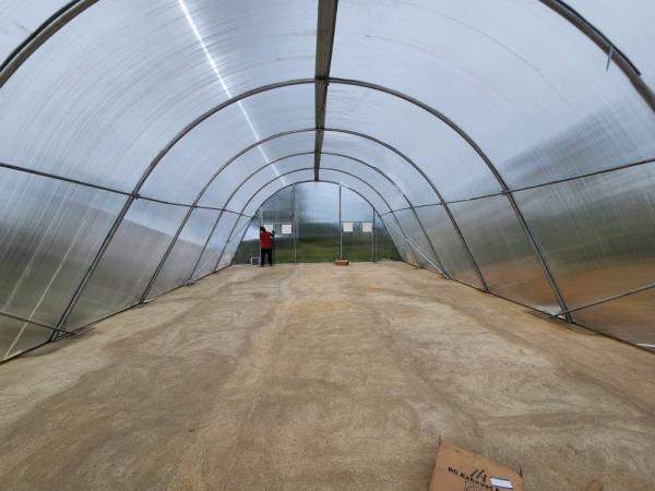 Polytunnel Agricultural Greenhouse Drying Greenhouse For Vegetables Fruit and Fish