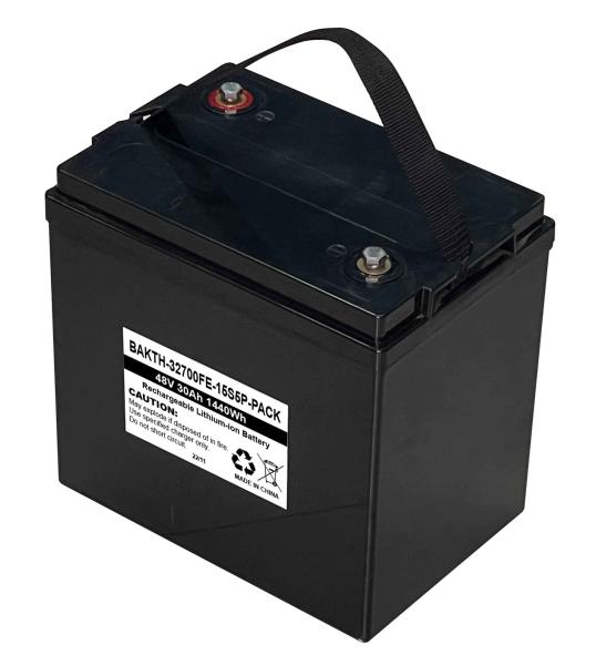 Batterie LiFePO4 48V 30Ah, batterie de stockage d'énergie portable pour l'alimentation domestique