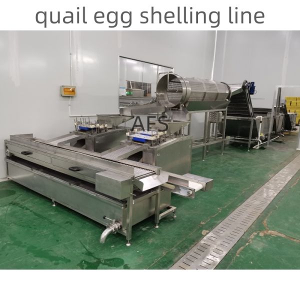 Quail Egg Peeling Machine, Quail Egg Shelling Line, Quail Egg Peeler Machine