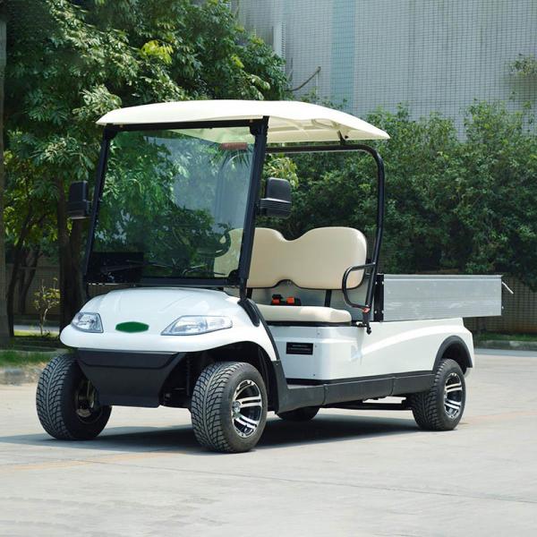 Electric Golf Scooter 6 8 Seats Hunting 2 4 Seater With Curtis Controller