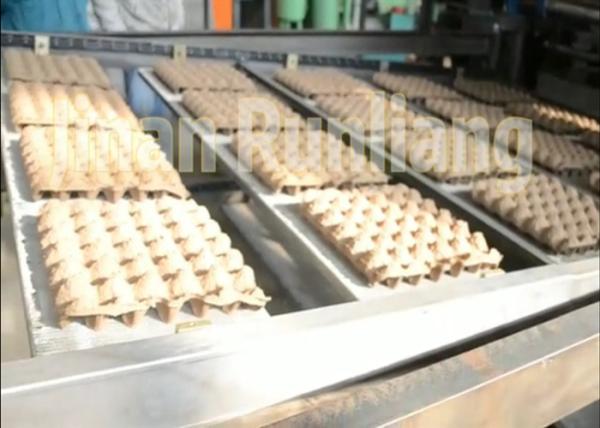 Linha de produção personalizada da bandeja do ovo da papelada, máquina de molde da celulose