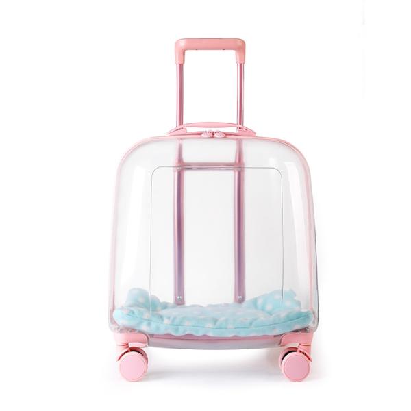 Sac de voyage pour animaux de compagnie en capsule transparente en matériau PC avec roue de chariot, grande capacité, bagage pour chat et chien, support portable transparent