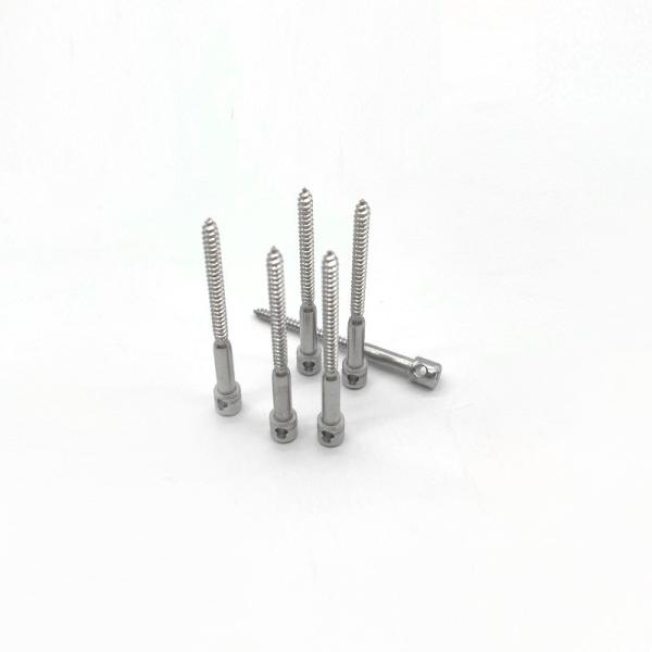 Просверленный главный герметизируя винт электрического счетчика для метров ваттчаса